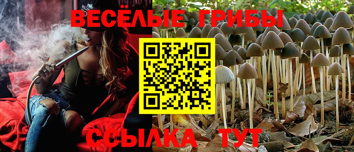 Галлюциногенные грибы ЛСД Сарапул
