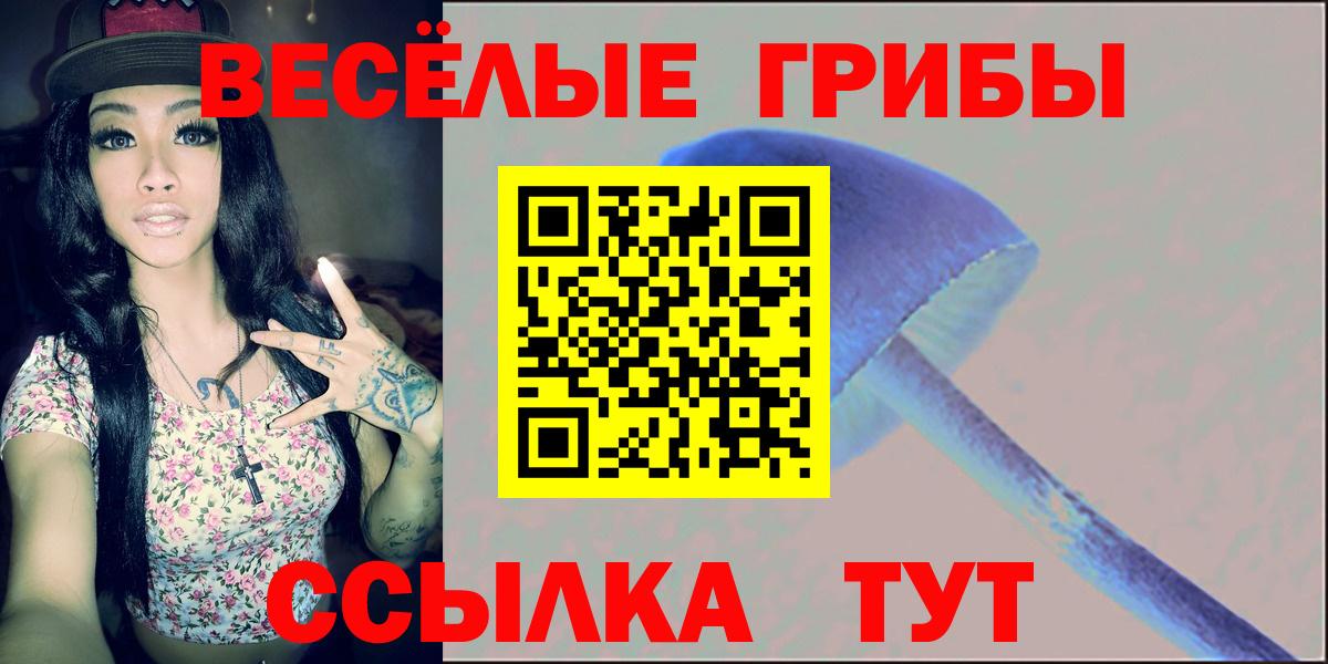 Сарапул  Псилоцибиновые грибы Magic Shrooms  Вход с VPN 